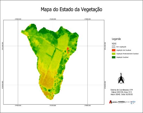 MAPAS SOBRE O ESTADO DA VEGETAÇÃO